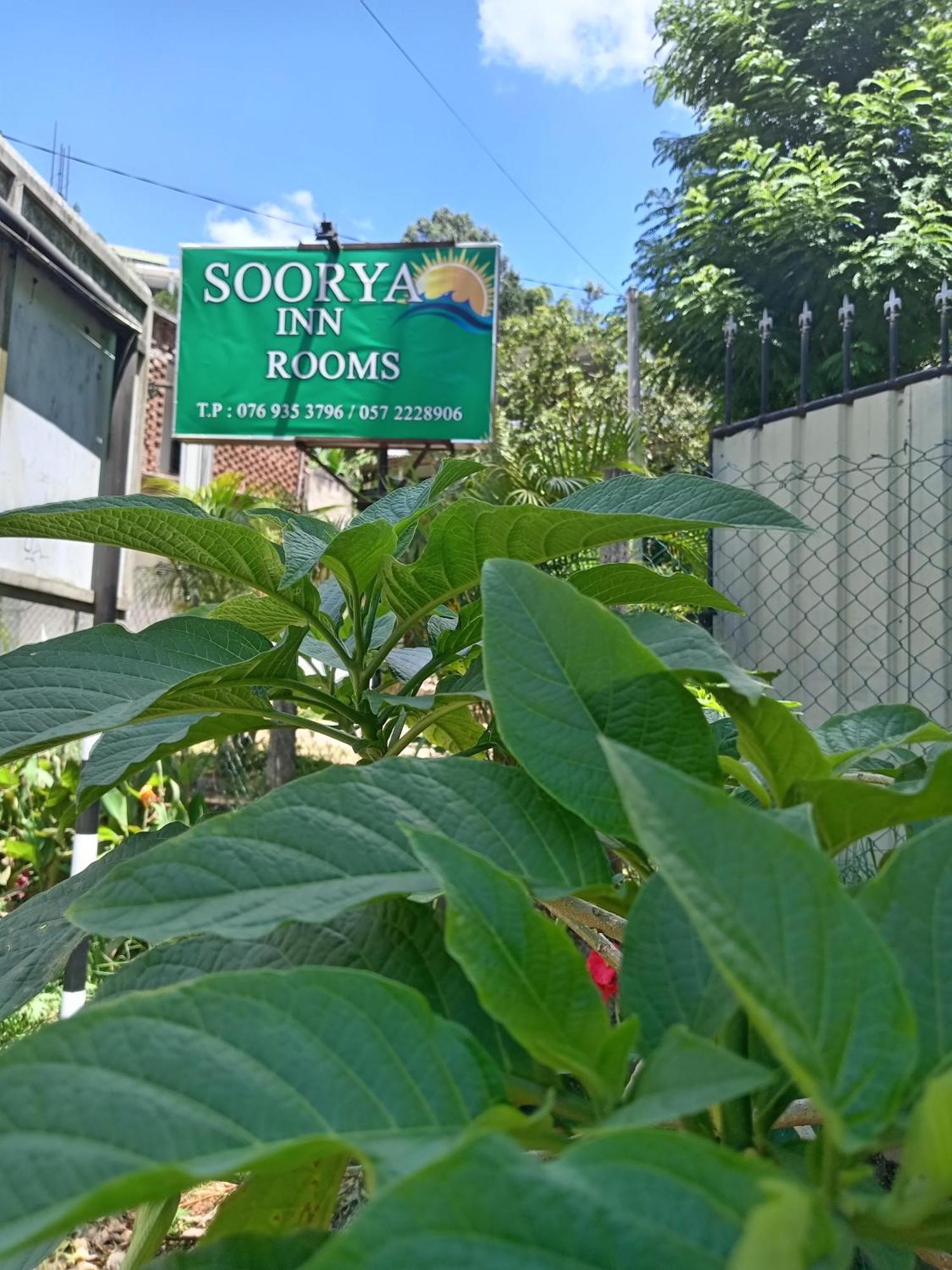 Soorya Inn Procida Dış mekan fotoğraf
